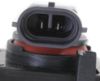 Picture of Fog Light