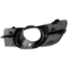 Picture of Fog Light Trim