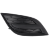 Picture of Fog Light Cover