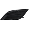 Picture of Fog Light Cover