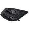 Picture of Fog Light Cover