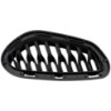 Picture of Bumper Grille