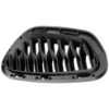 Picture of Bumper Grille