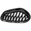 Picture of Bumper Grille