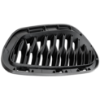 Picture of Bumper Grille