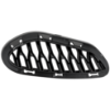 Picture of Bumper Grille