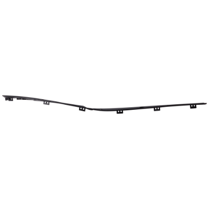 Picture of Bumper Trim