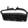 Picture of Bumper Grille
