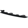 Picture of Bumper Trim