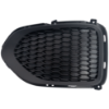 Picture of Fog Light Cover