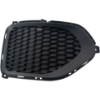 Picture of Fog Light Cover
