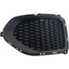 Picture of Fog Light Cover