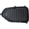 Picture of Fog Light Cover