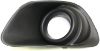 Picture of Fog Light Trim
