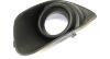 Picture of Fog Light Trim