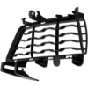 Picture of Fog Light Cover
