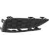Picture of Bumper Grille