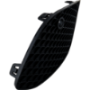 Picture of Bumper Grille