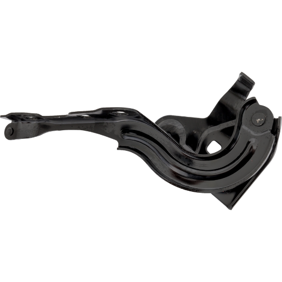 Picture of Hood Hinge