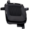 Picture of Fog Light Cover
