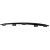Picture of Grille Trim