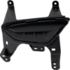 Picture of Fog Light Cover