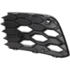 Picture of Bumper Grille