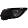 Picture of Fog Light Trim