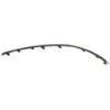 Picture of Bumper Trim