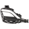 Picture of Fog Light Cover