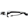 Picture of Exterior Door Handle