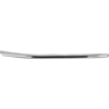 Picture of Grille Trim