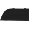 Picture of Fog Light Cover