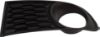 Picture of Fog Light Trim