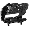 Picture of Fog Light Cover
