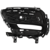 Picture of Fog Light Cover