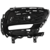 Picture of Fog Light Cover