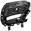 Picture of Fog Light Cover