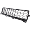 Picture of Bumper Grille