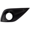 Picture of Fog Light Trim