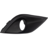 Picture of Fog Light Trim