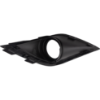 Picture of Fog Light Trim