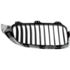 Picture of Grille Assembly