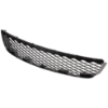 Picture of Grille Assembly