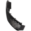 Picture of Grille Assembly