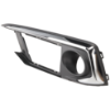 Picture of Fog Light Trim
