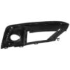 Picture of Fog Light Trim
