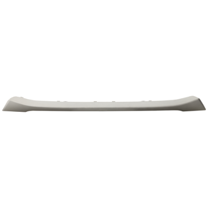 Picture of Bumper Trim