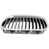 Picture of Grille Assembly