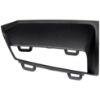 Picture of Fog Light Cover
